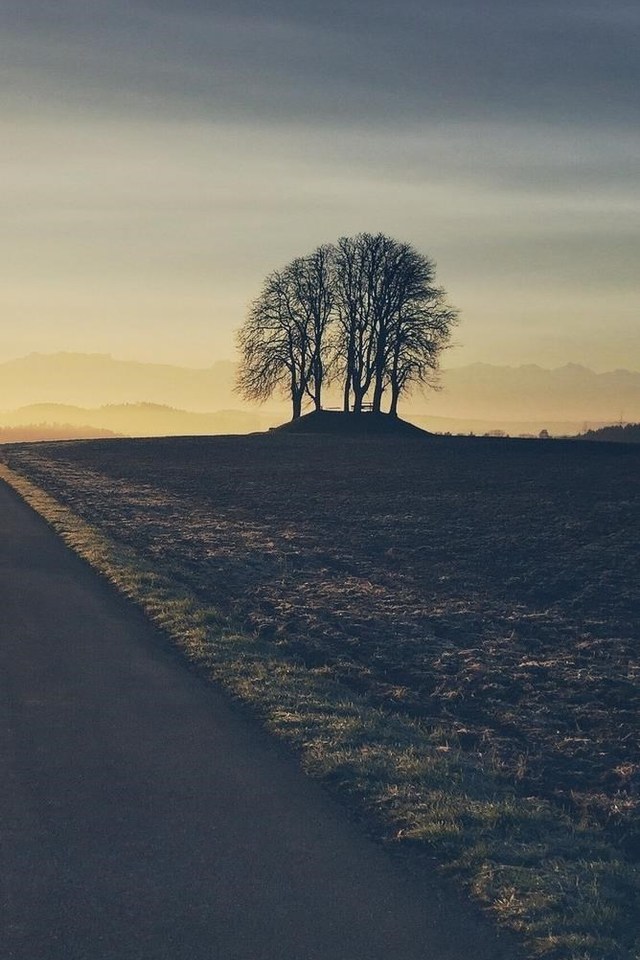 Beautiful Road Wallpaper Hd - HD Wallpaper 