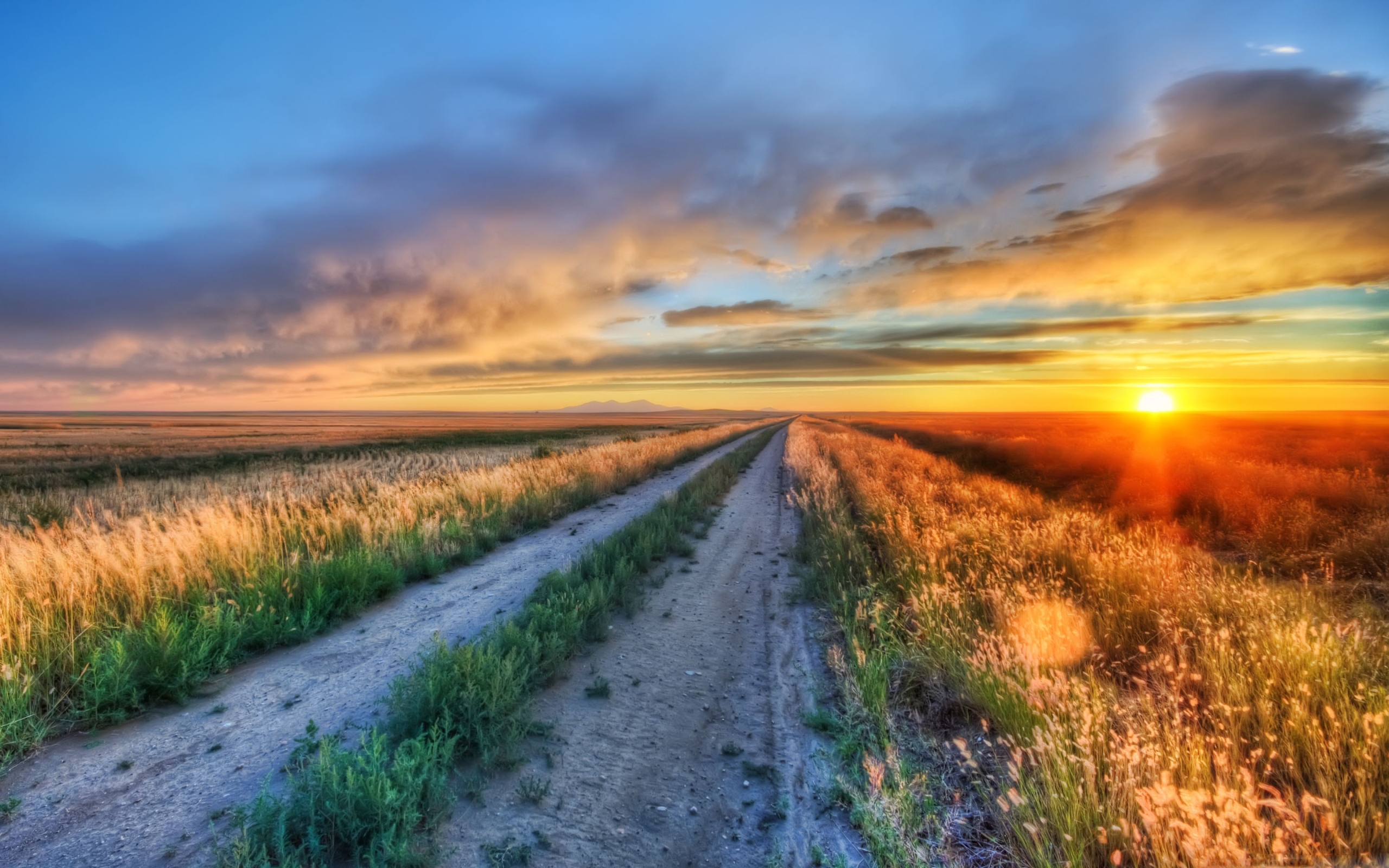 So Where Are You Going 81 26 - HD Wallpaper 