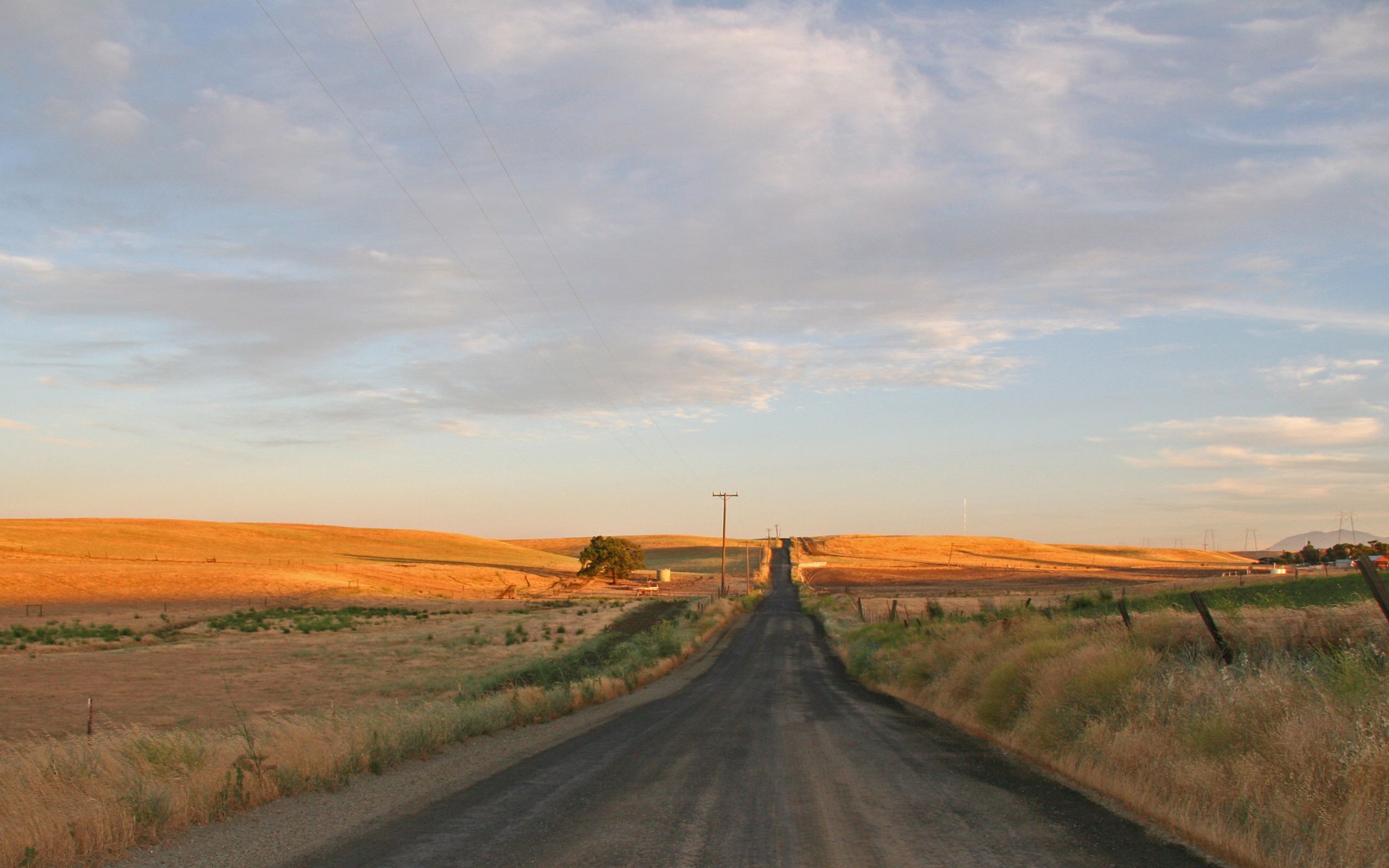 Shawzzz Leak: The Long Road Ahead - xuazrrp