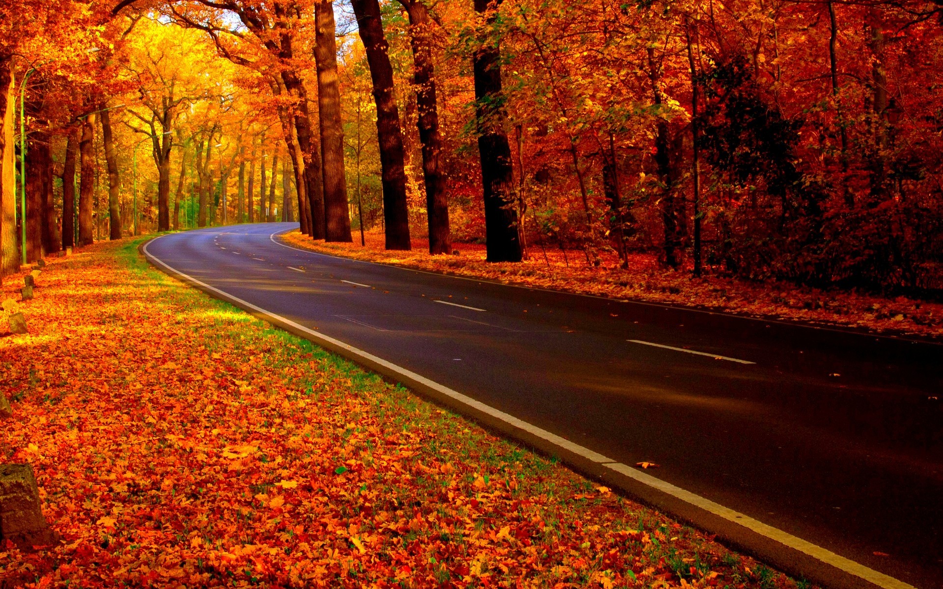 Autumn Road - HD Wallpaper 