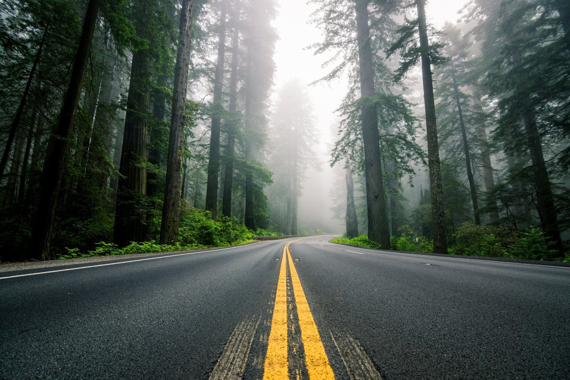Highway Road And Forest - HD Wallpaper 