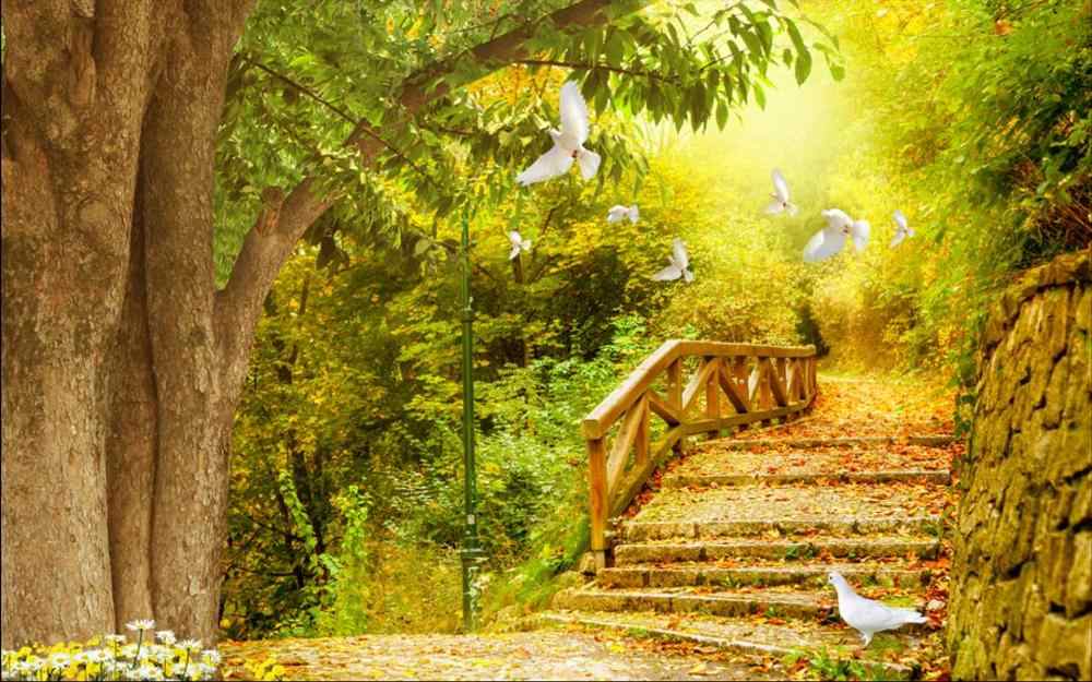 3d Wallpaper Big Tree Plank Road Pigeon Wallpaers For - Pictorial Background - HD Wallpaper 
