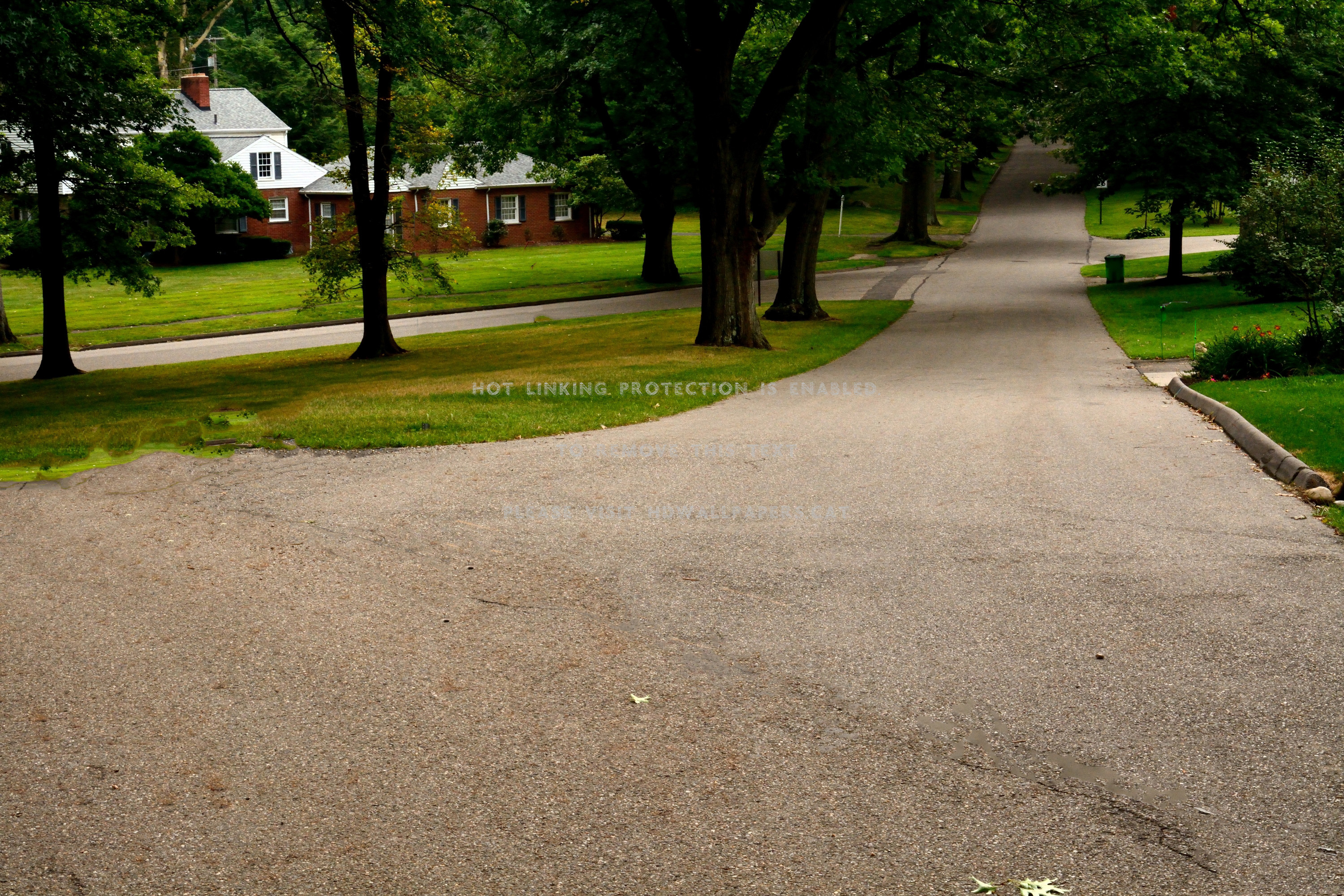 Which Path To Choose Beautiful Road Life - Tree - HD Wallpaper 