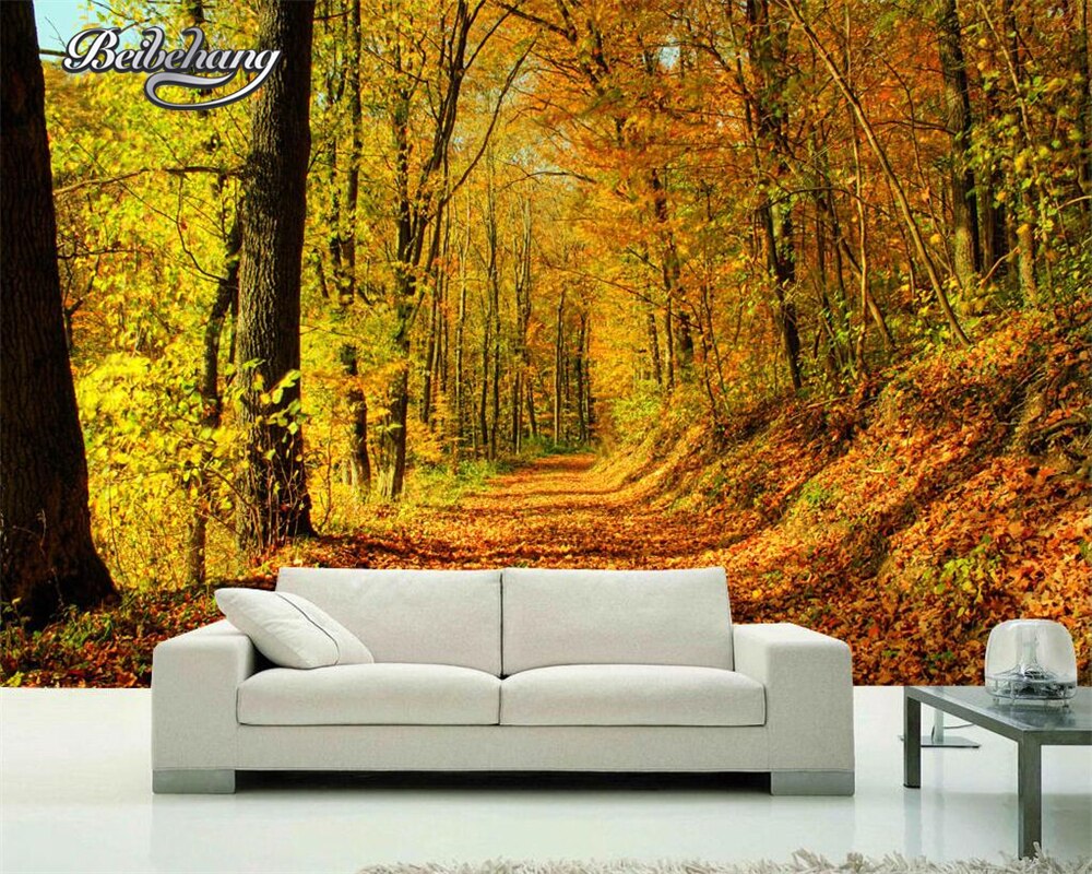 Beautiful Temperate Deciduous Forest - HD Wallpaper 