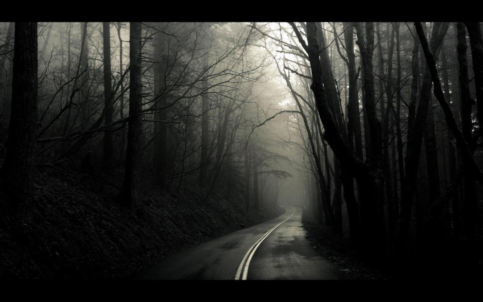Dark Road Wallpaper,cool Hd Wallpaper,black Hd Wallpaper,nature - Into The Mist Greg Martin - HD Wallpaper 
