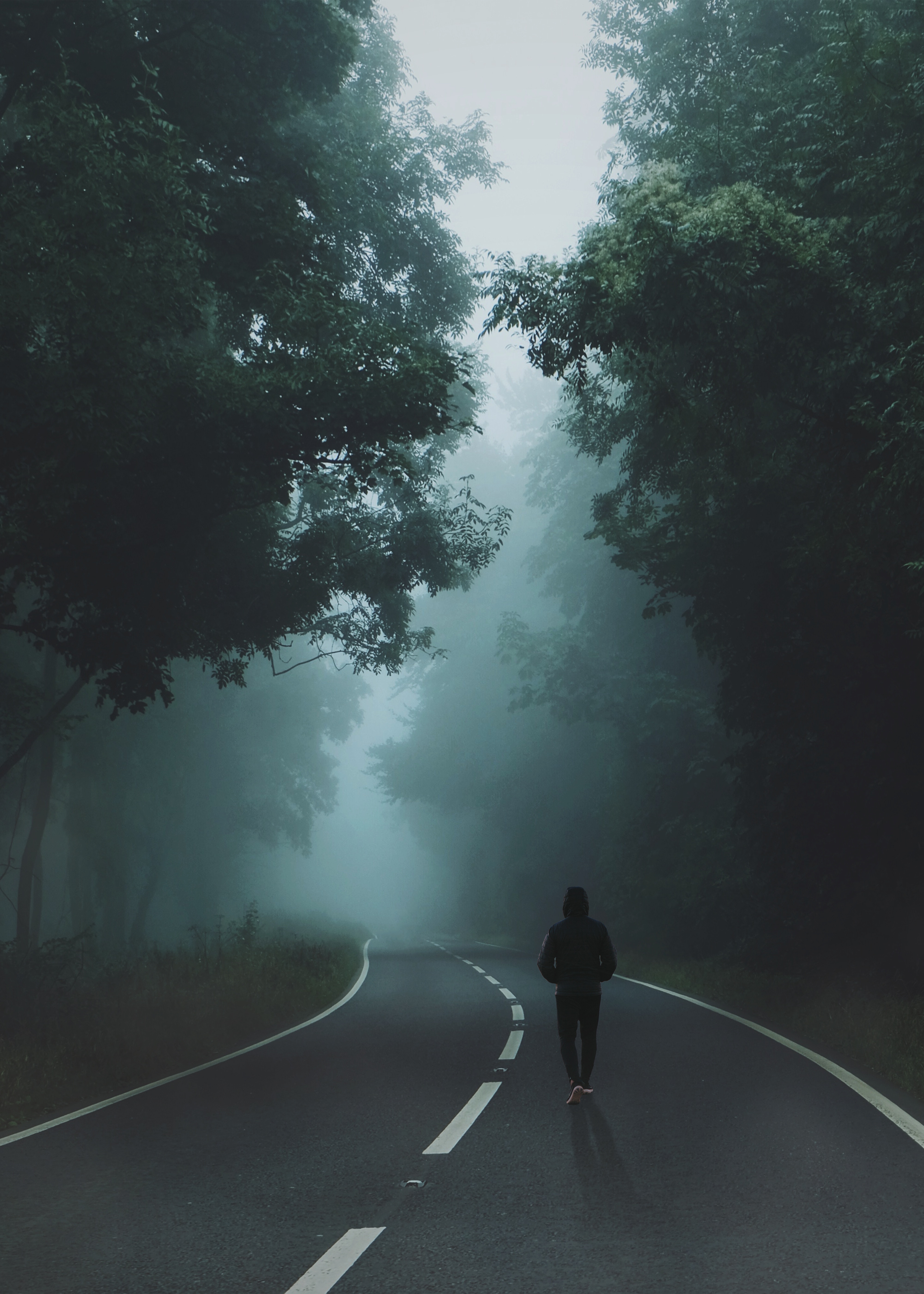 Walking Alone In The Road - HD Wallpaper 