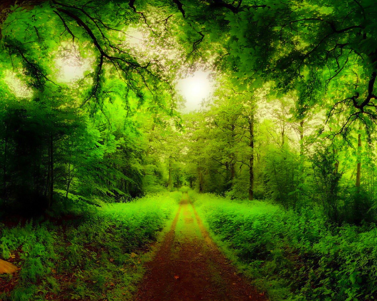 Hd Wallpapers Nature Way - HD Wallpaper 