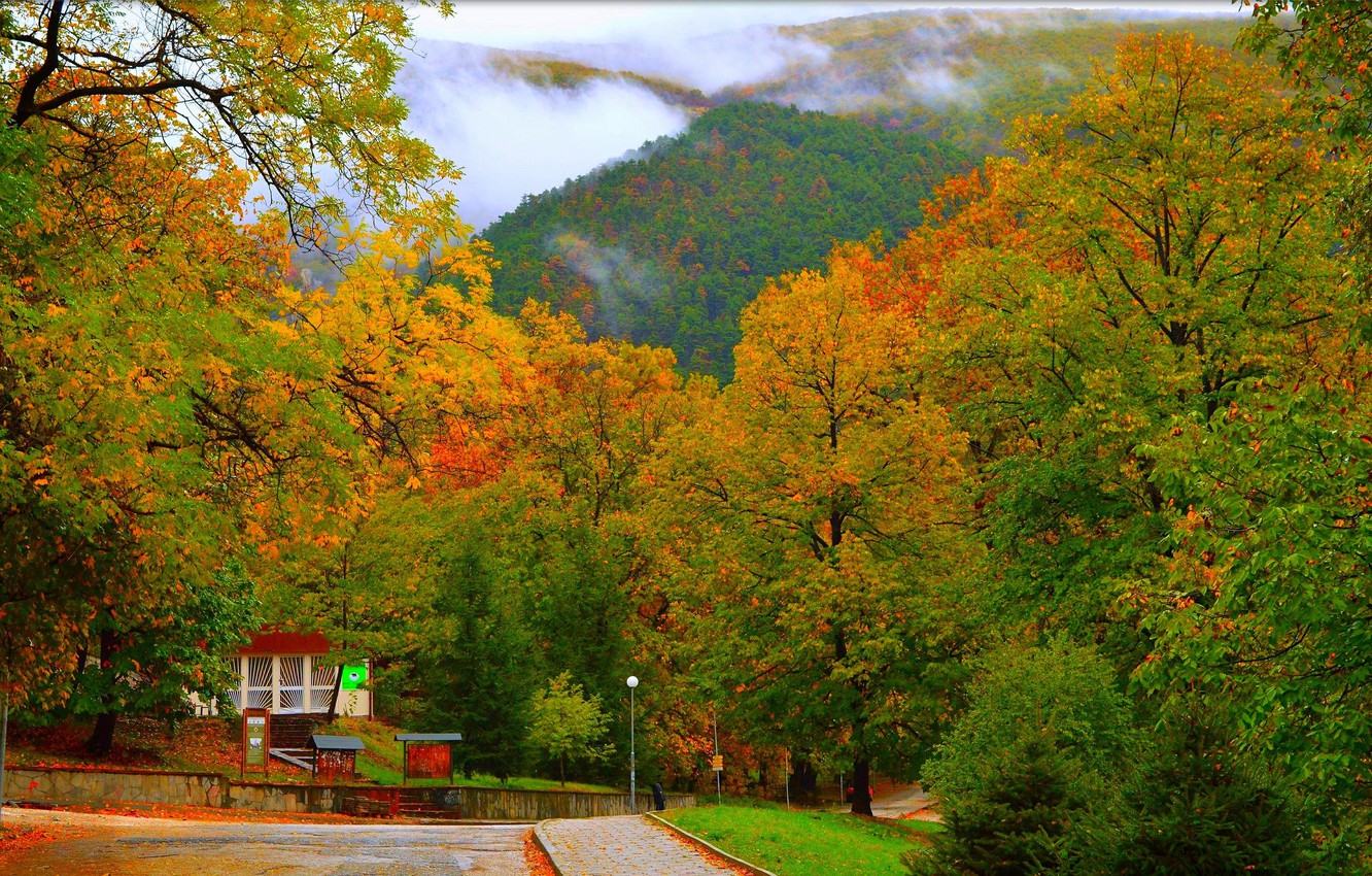Photo Wallpaper Nature, Road, Autumn, Trees, Hills, - Maple - HD Wallpaper 