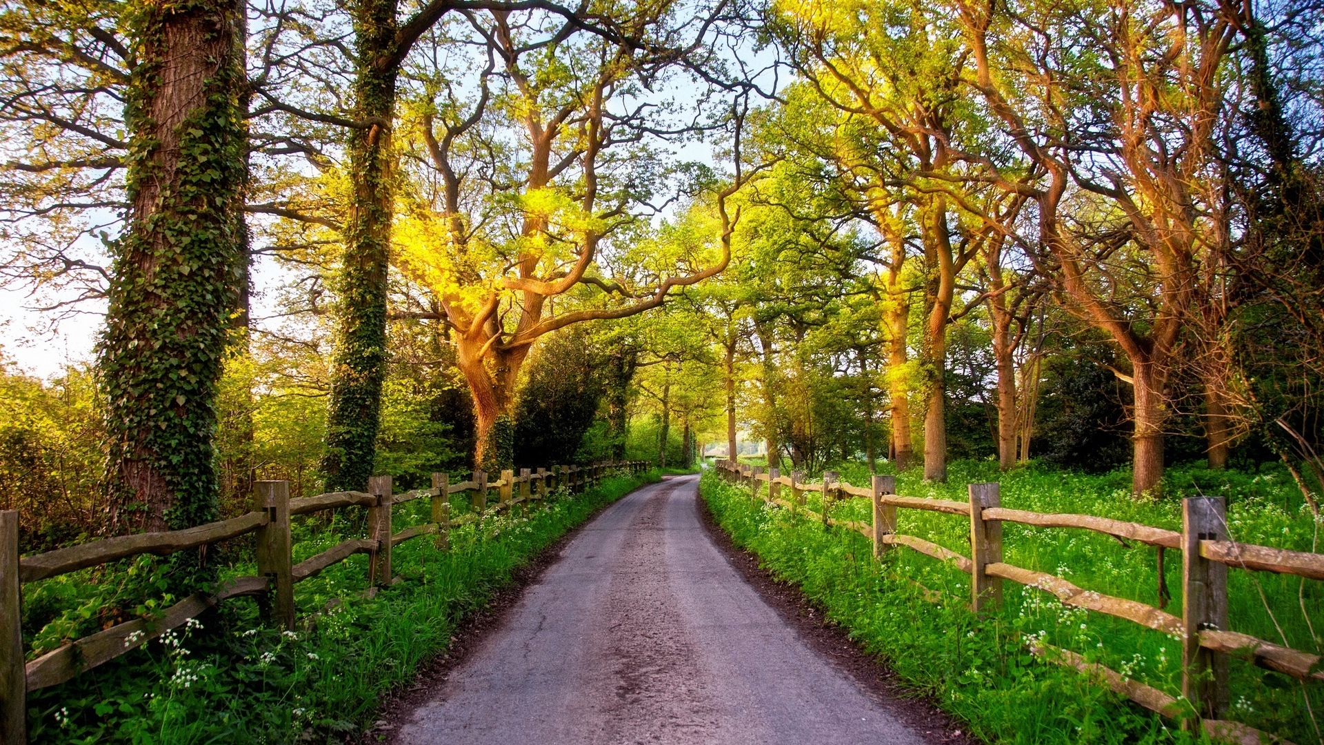 Wallpaper England, Great Britain, Nature, Road, Green, Ultra Hd