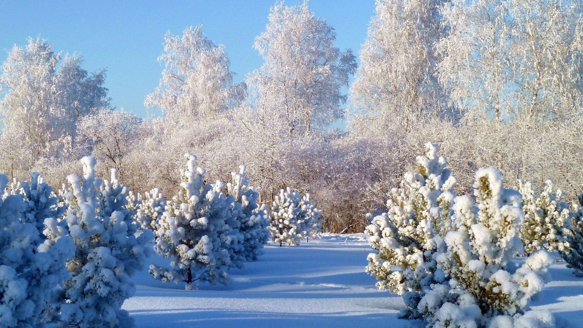 Natural Scenery Of Winter - HD Wallpaper 