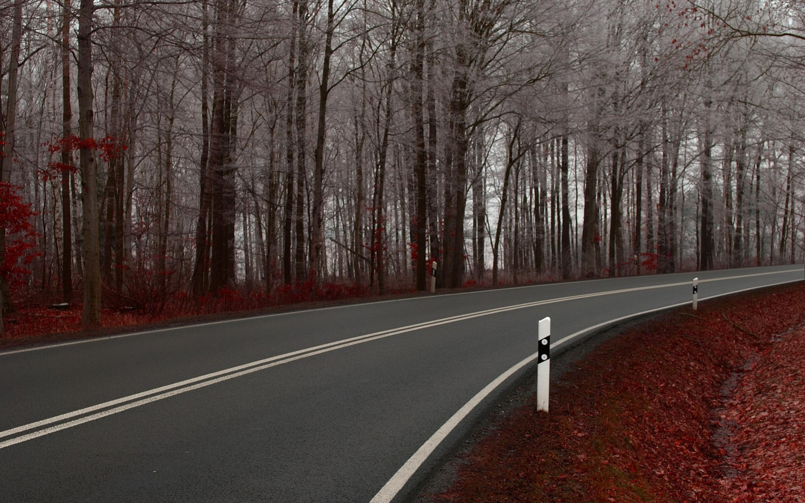 Hd Nature Autumn Season Forest Roads For Mobile Wallpaper - Beautiful Road Scenery Hd - HD Wallpaper 