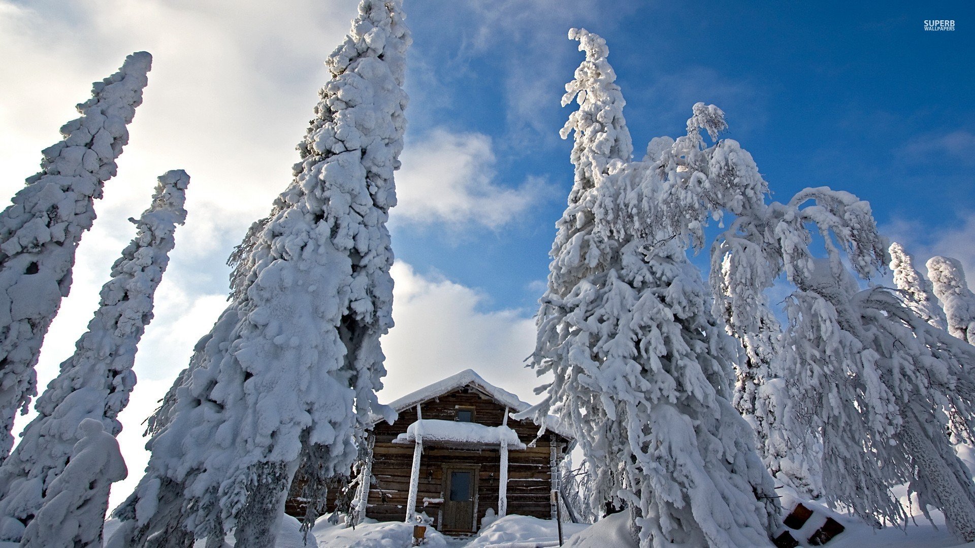Snowy Trees Guarding The Snowy Wooden Hut Wallpaper - Snow - HD Wallpaper 