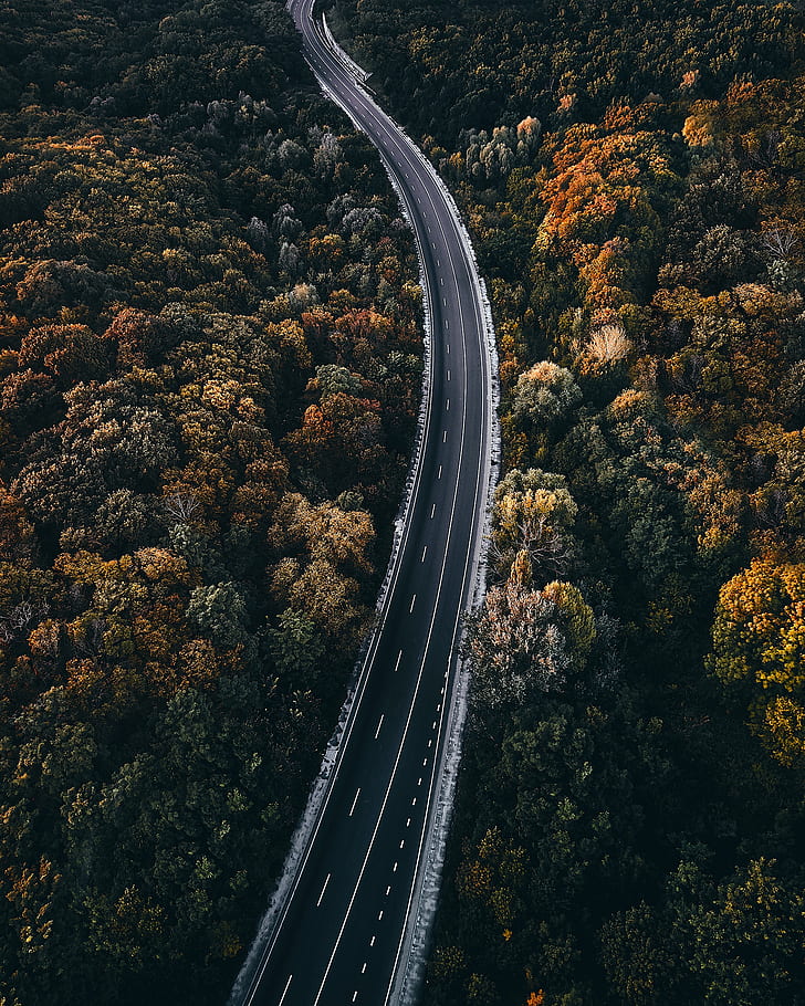 Asphalt, Aerial, Forest, Road, Highway, Hd Wallpaper - كن لله كما يريد يكن لك فوق ماتريد - HD Wallpaper 