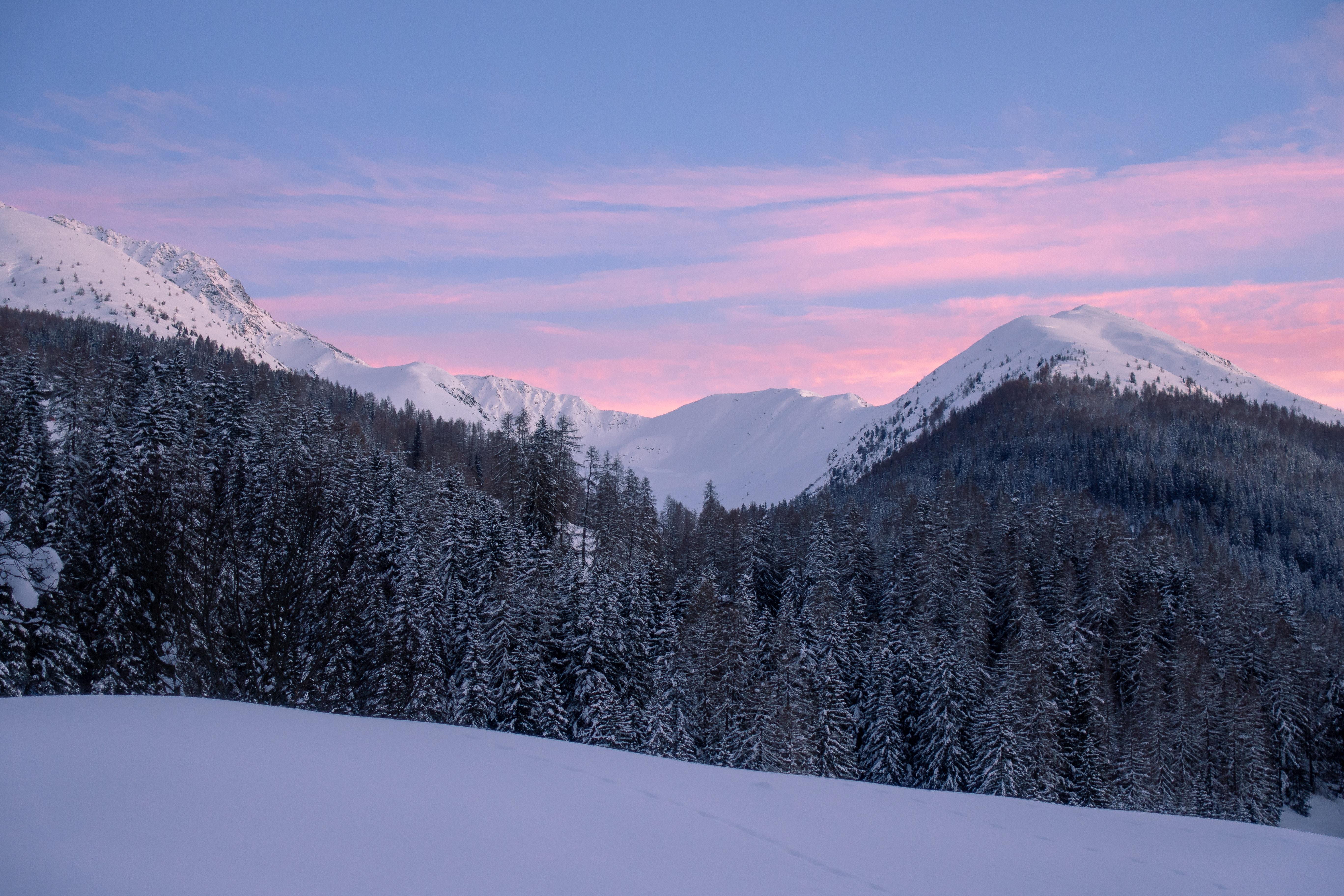 Mountains, Snow, Winter, Snowy, Trees, Mountain Landscape, - Snowy Trees And Mountain Background - HD Wallpaper 