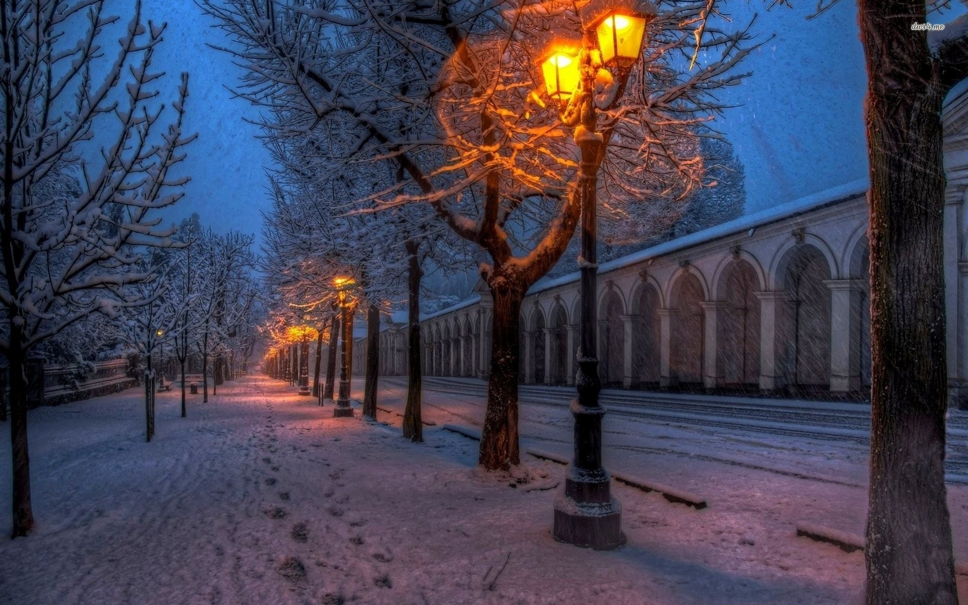 Winter Night - HD Wallpaper 