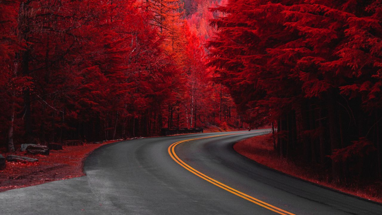 Wallpaper - HD Wallpaper 