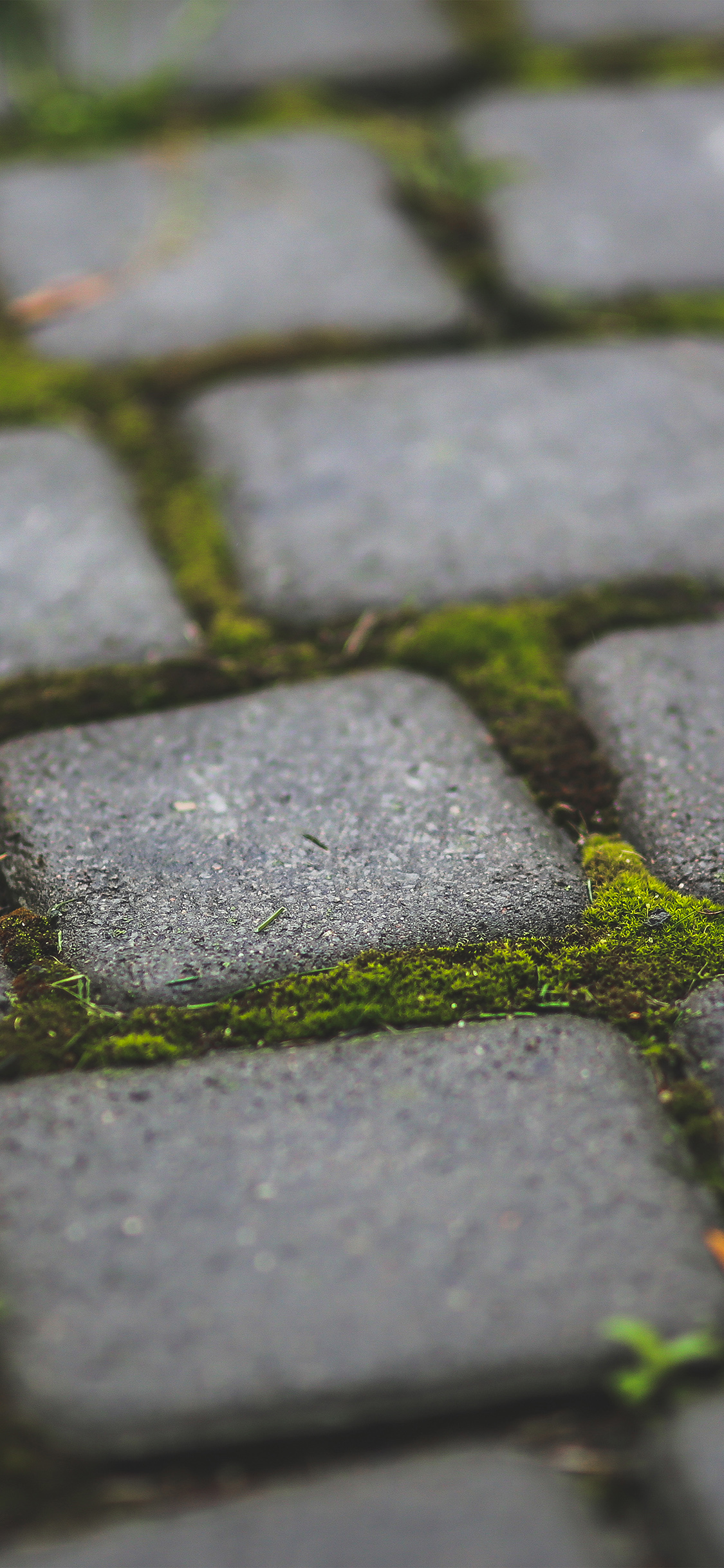 Iphone X Wallpaper Stone - 1125x2436 Wallpaper Iphone X Wallpaper Stone - 1125x2436 Wallpaper