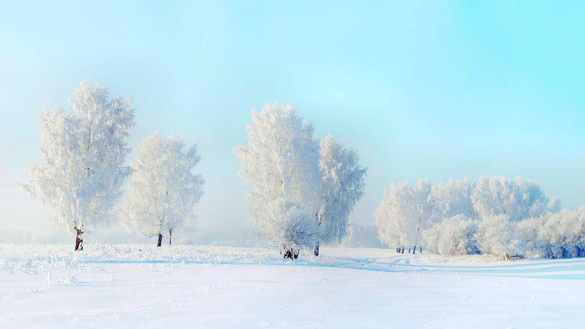 Snow Winter Hd Wallpaper - White Snow Wallpaper Hd - HD Wallpaper 