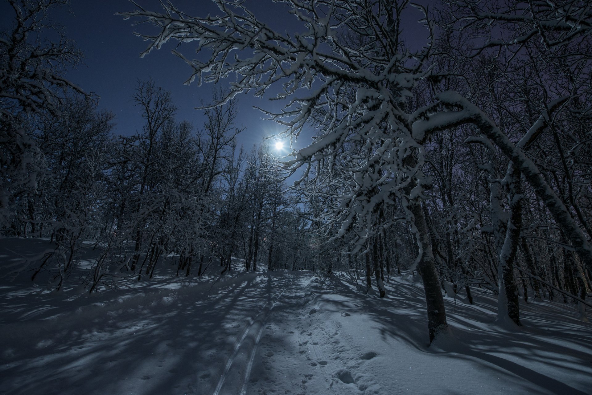 Snow Night Wallpaper - HD Wallpaper 