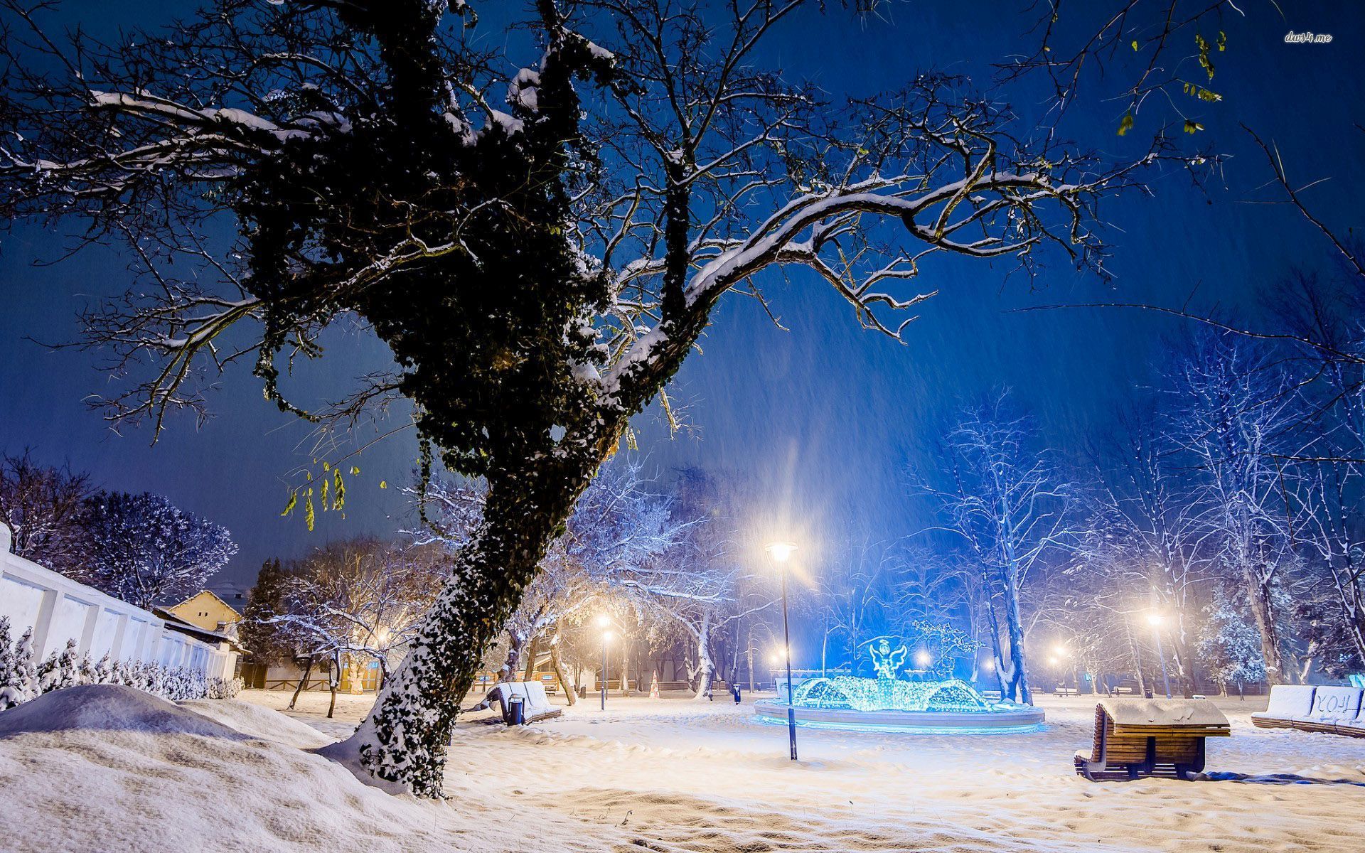 Wallpaper - HD Wallpaper 