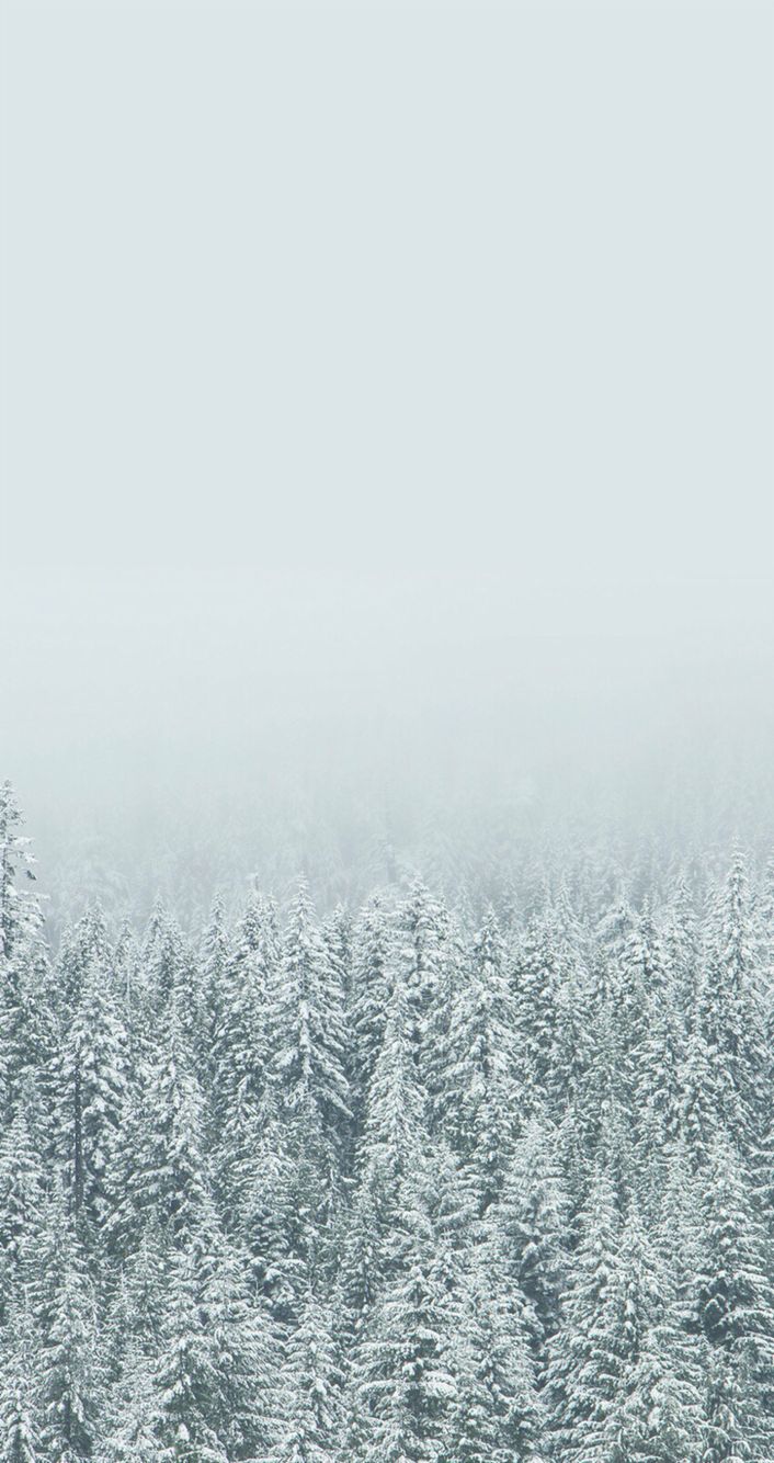 Cant Wait For Winter - HD Wallpaper 