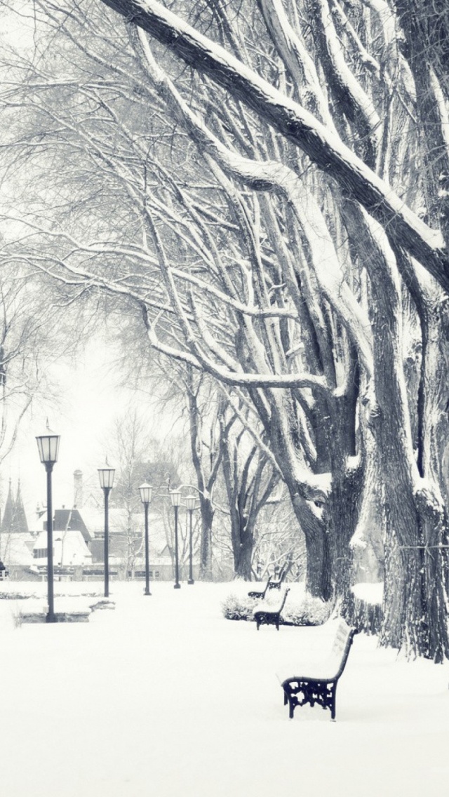 Snowy Trees Iphone - HD Wallpaper 