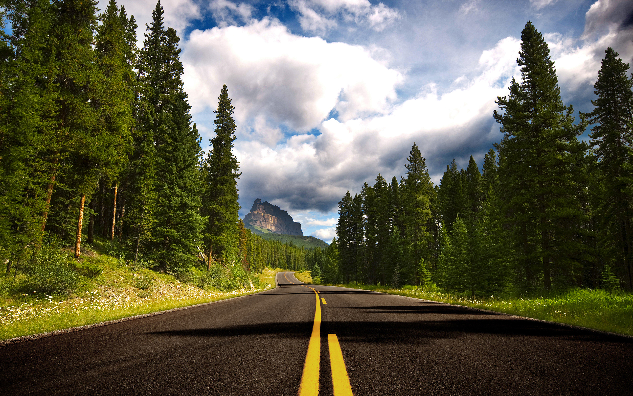 Nature Road Wallpaper - HD Wallpaper 
