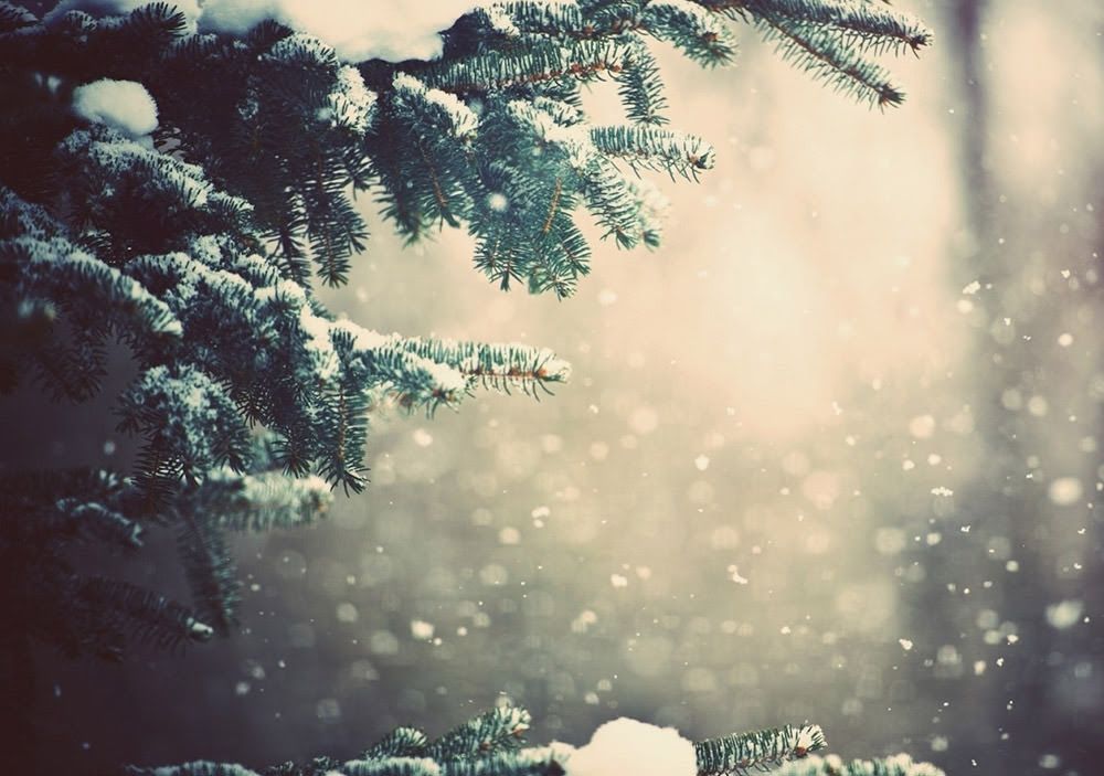 Snow Winter Desktop Background - HD Wallpaper 