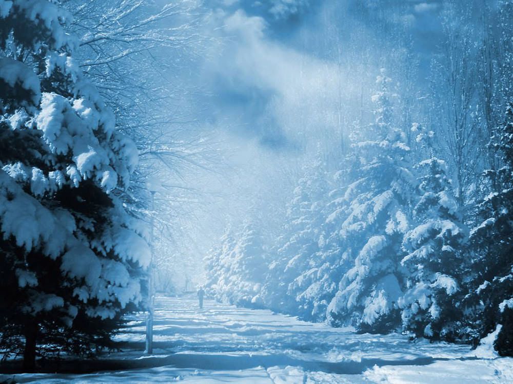 May The God Of Christmas Hope Fill You With All Joy - HD Wallpaper 