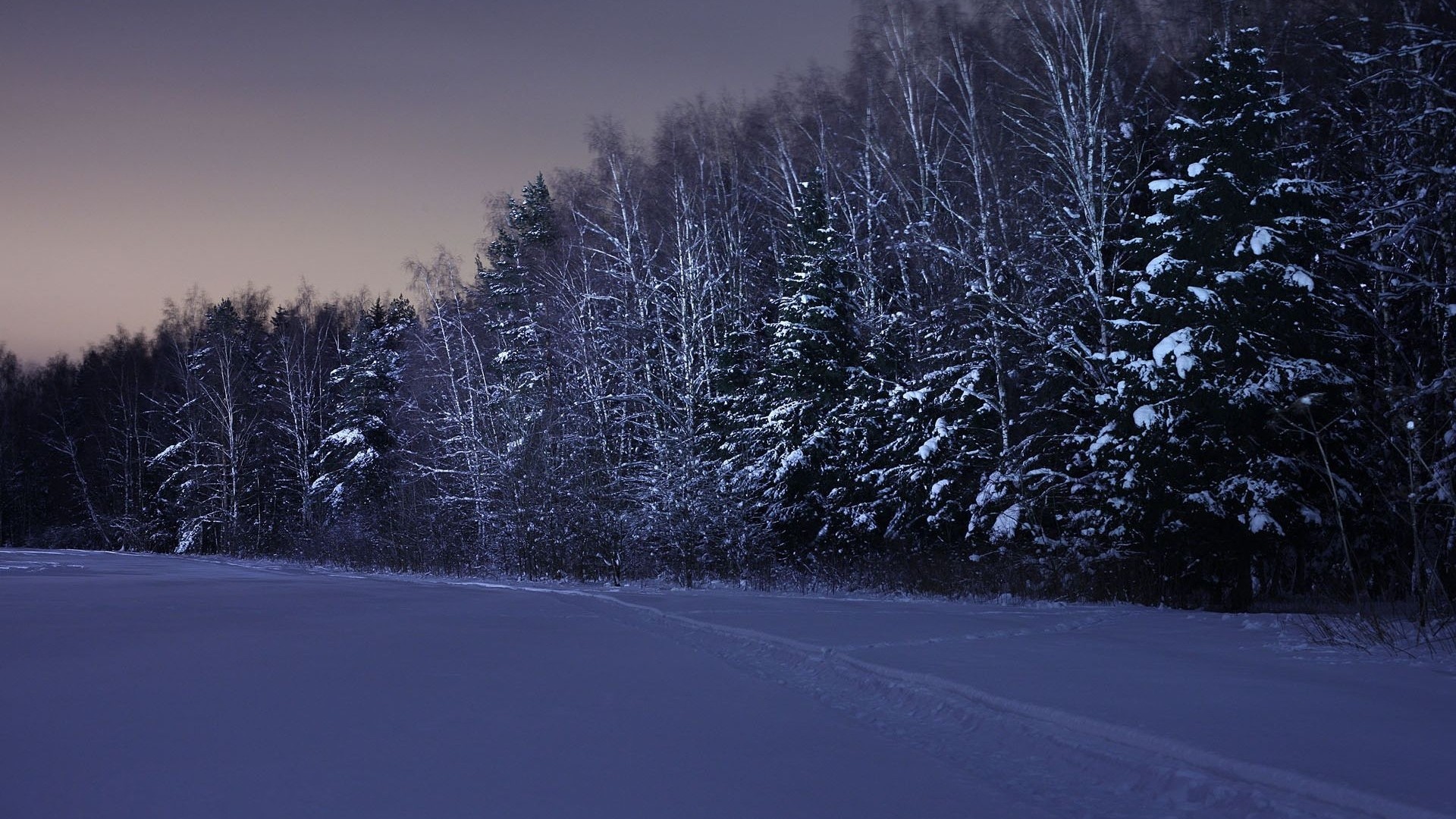Download Wallpaper Field, Trees, Snow, Winter, Night - Snowy Night Background Hd - HD Wallpaper 