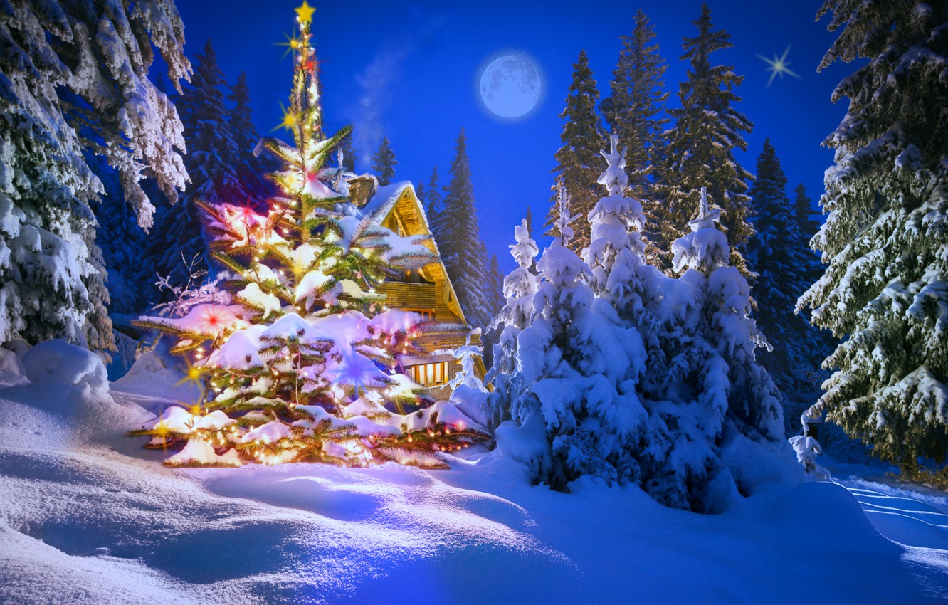 Photo Wallpaper Winter, Night, Holiday - Holiday - HD Wallpaper 