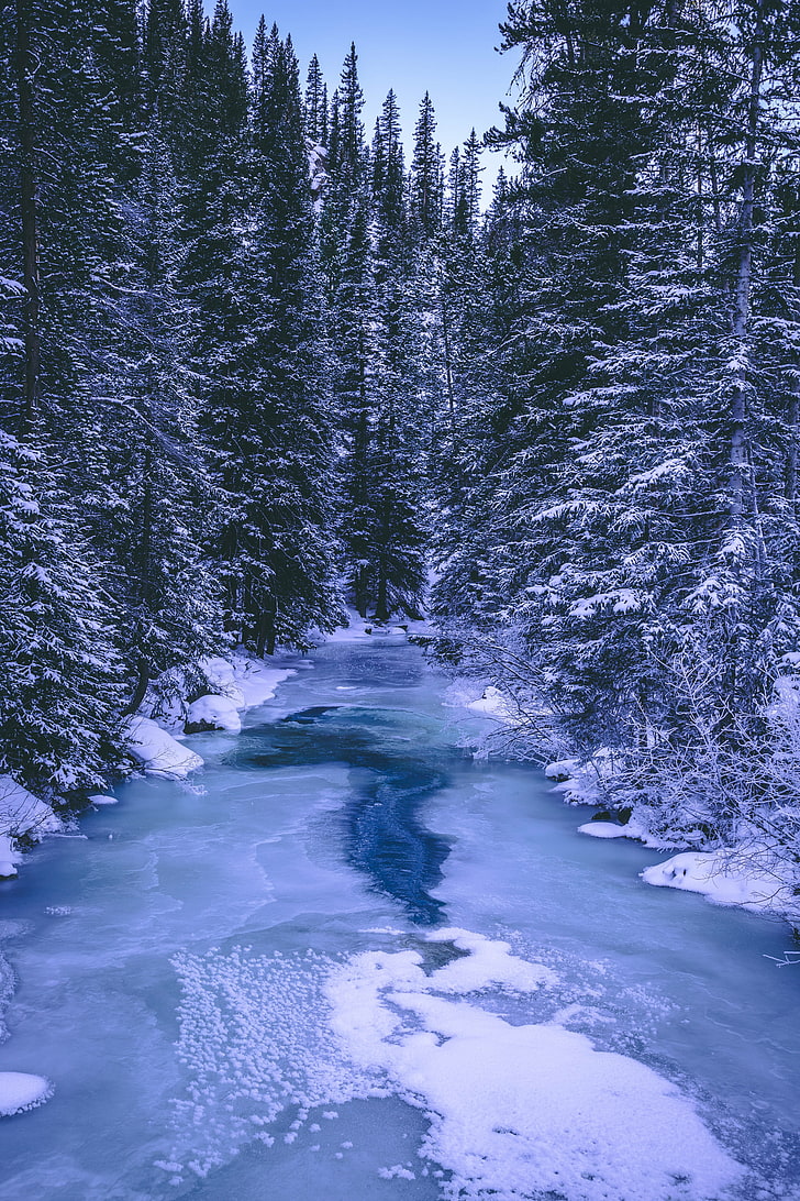 Forest, Winter, River, Snow, Ice, Trees, Nature, Cold - HD Wallpaper 