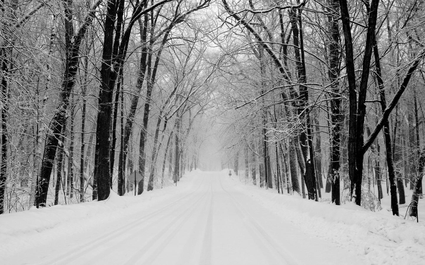 Black And White Snow Background - HD Wallpaper 