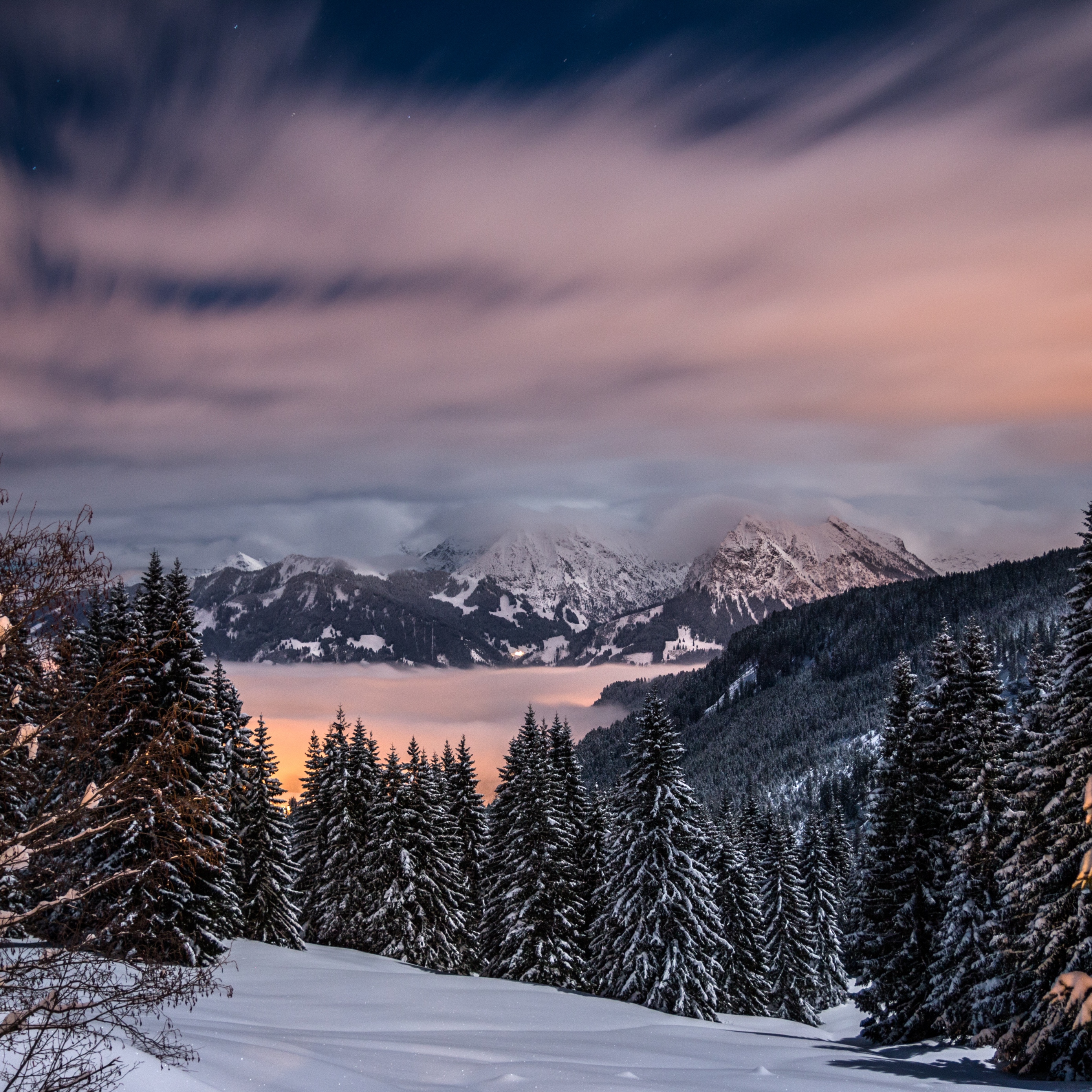 Wallpaper Winter, Mountains, Snow, Trees, Bavaria, - Winter Mountains Wallpaper Iphone - HD Wallpaper 