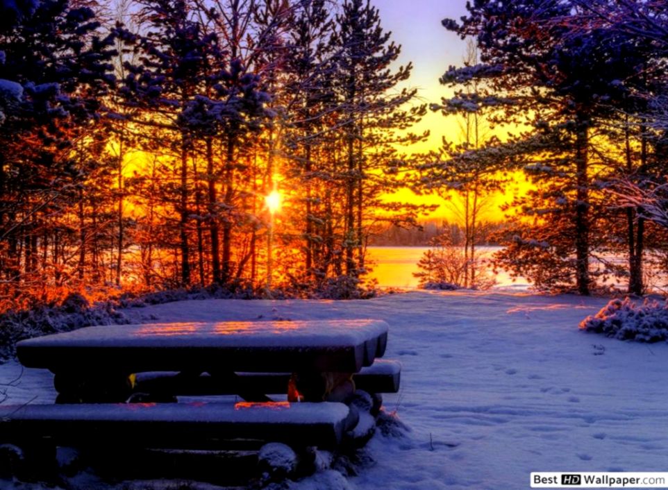 Picnic Table In The Woods At Winter Sunset Hd Wallpaper - Papel De Parede Inverno Por Do Sol - HD Wallpaper 
