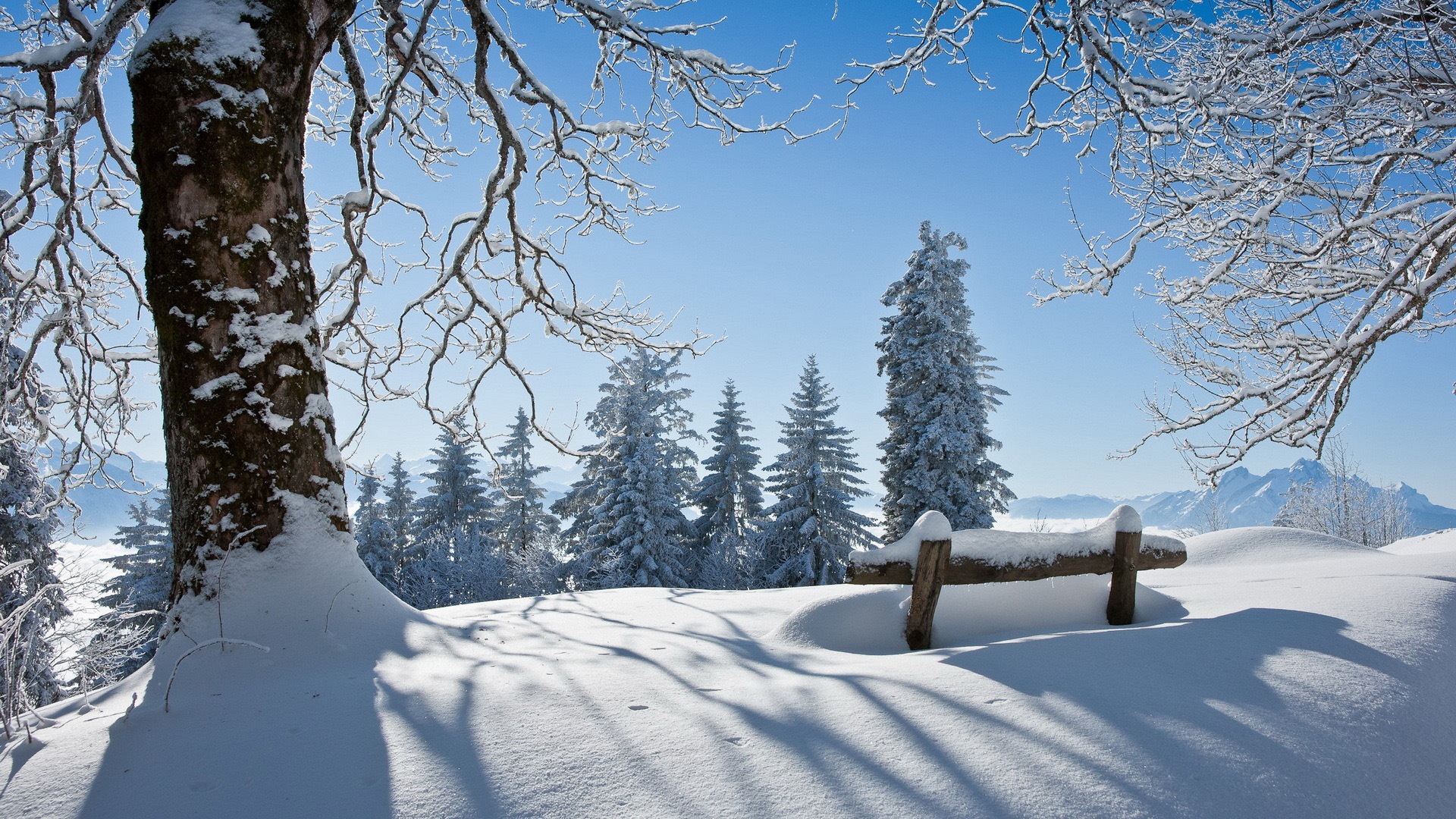 Winter Schnee Schone Landschaft Hd Wallpaper Large Scenery 19x1080 Wallpaper Teahub Io