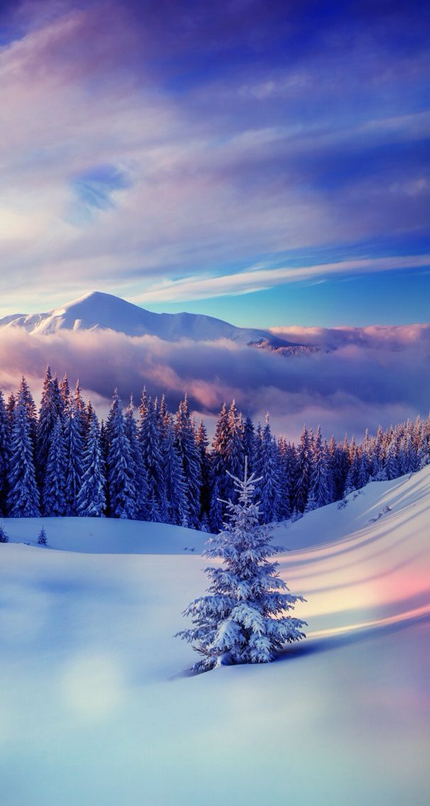 Winter Wallpaper Macbook Air - HD Wallpaper 