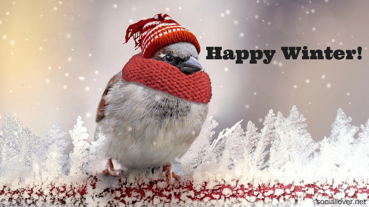 Winter Images With Quotes - Freezing Cold - HD Wallpaper 