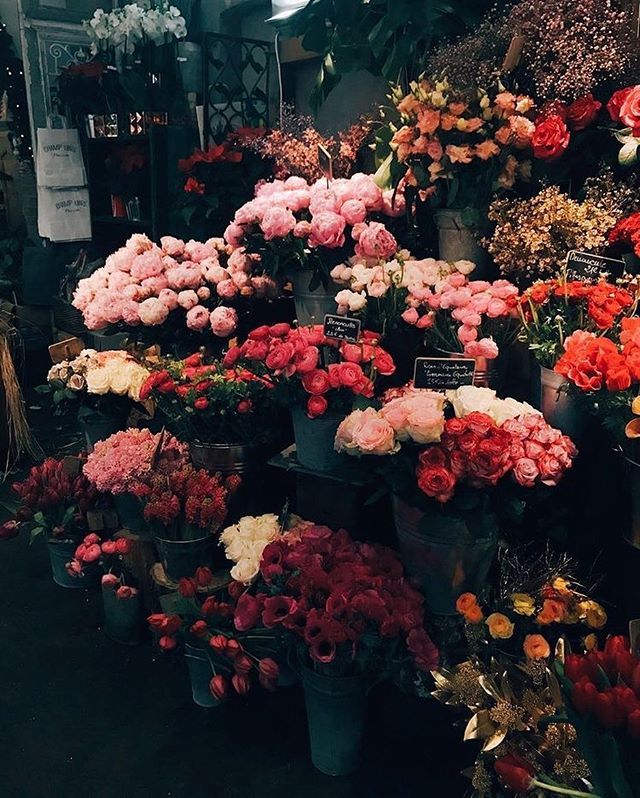 Iphone Flower Wallpaper 4k - 640x798 Wallpaper Iphone Flower Wallpaper 4k - 640x798 Wallpaper