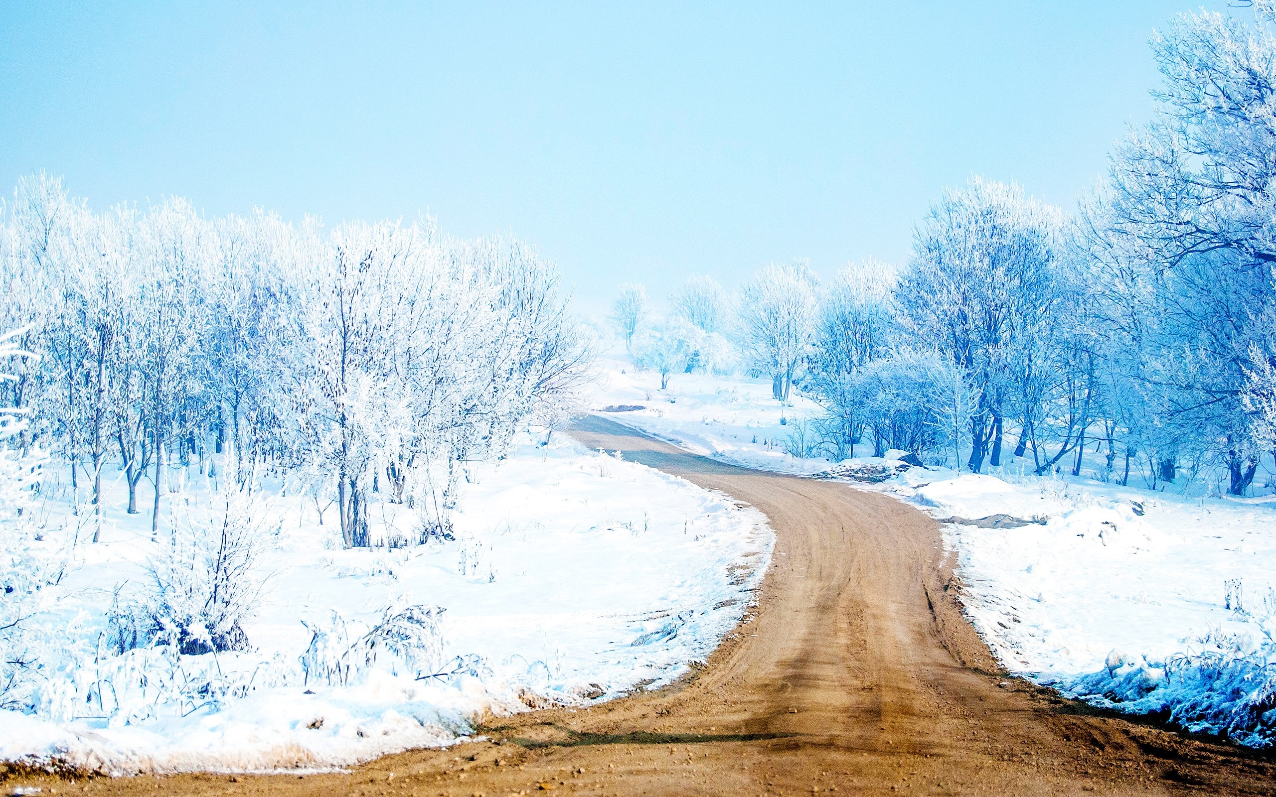 23 Best Hd Gorgeous Winter Road Wallpapers - HD Wallpaper 