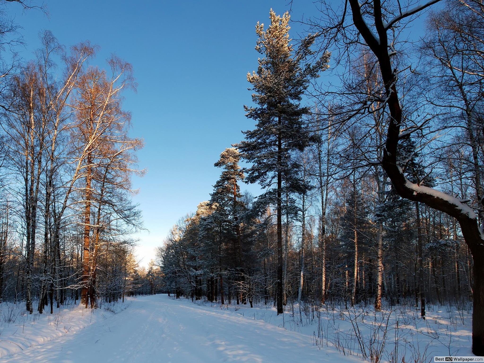 Winter Wallpaper Download - Lenovo Thinkpad T490 - HD Wallpaper 