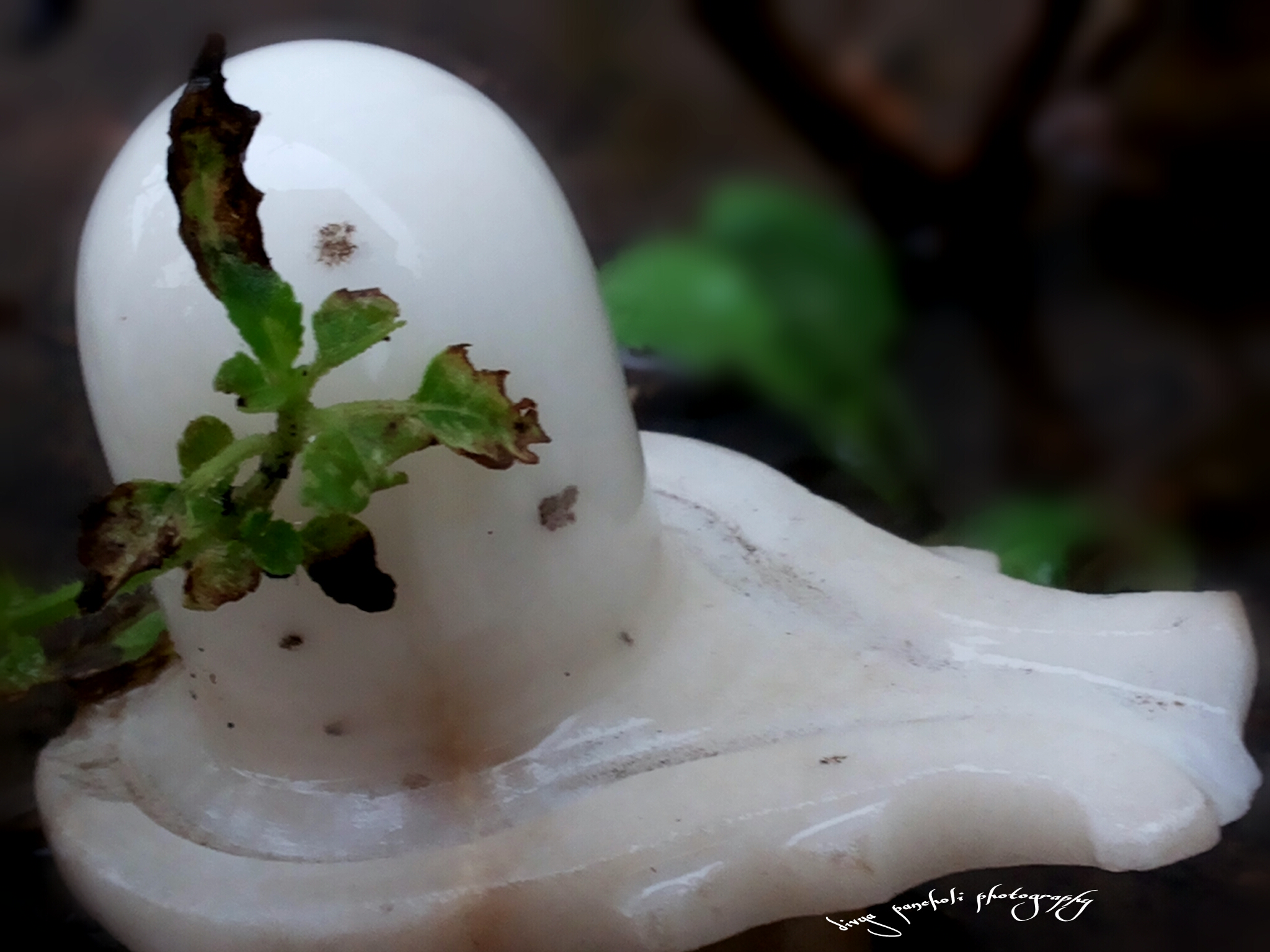 Shivling 
om Trambykam Yjamhe, Sugandhim Pusti Vardhanm, - Ceramic - HD Wallpaper 