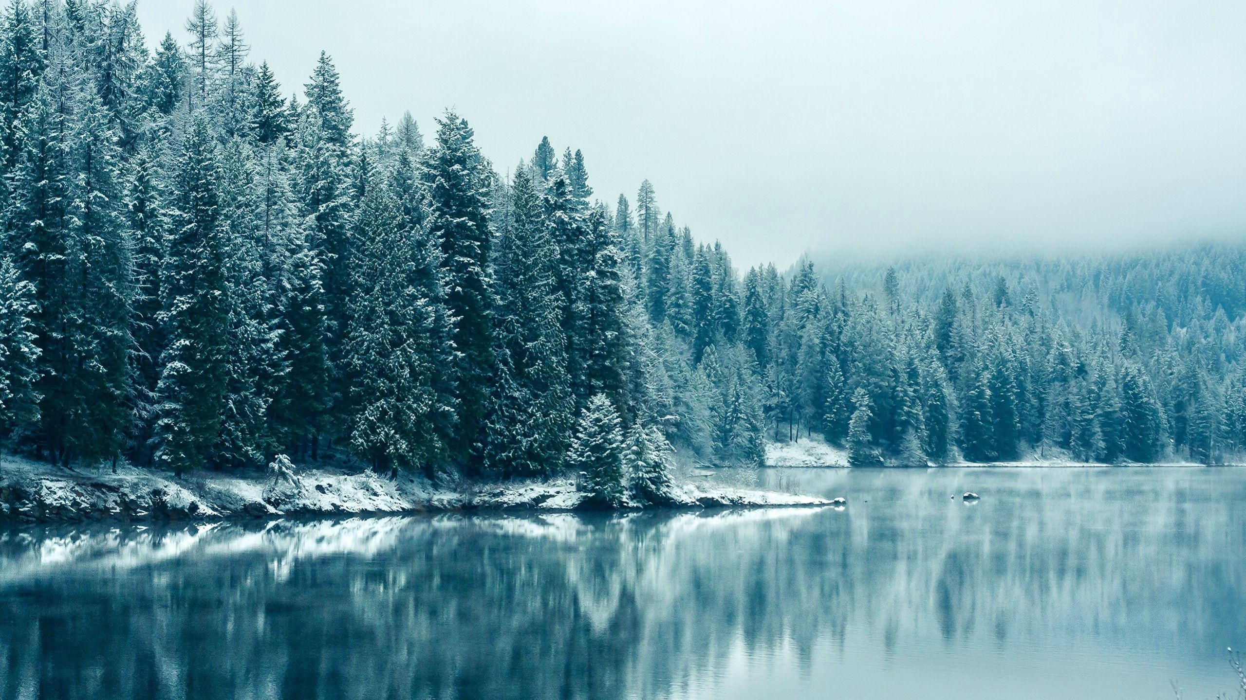 Nature Winter Computer Backgrounds - HD Wallpaper 