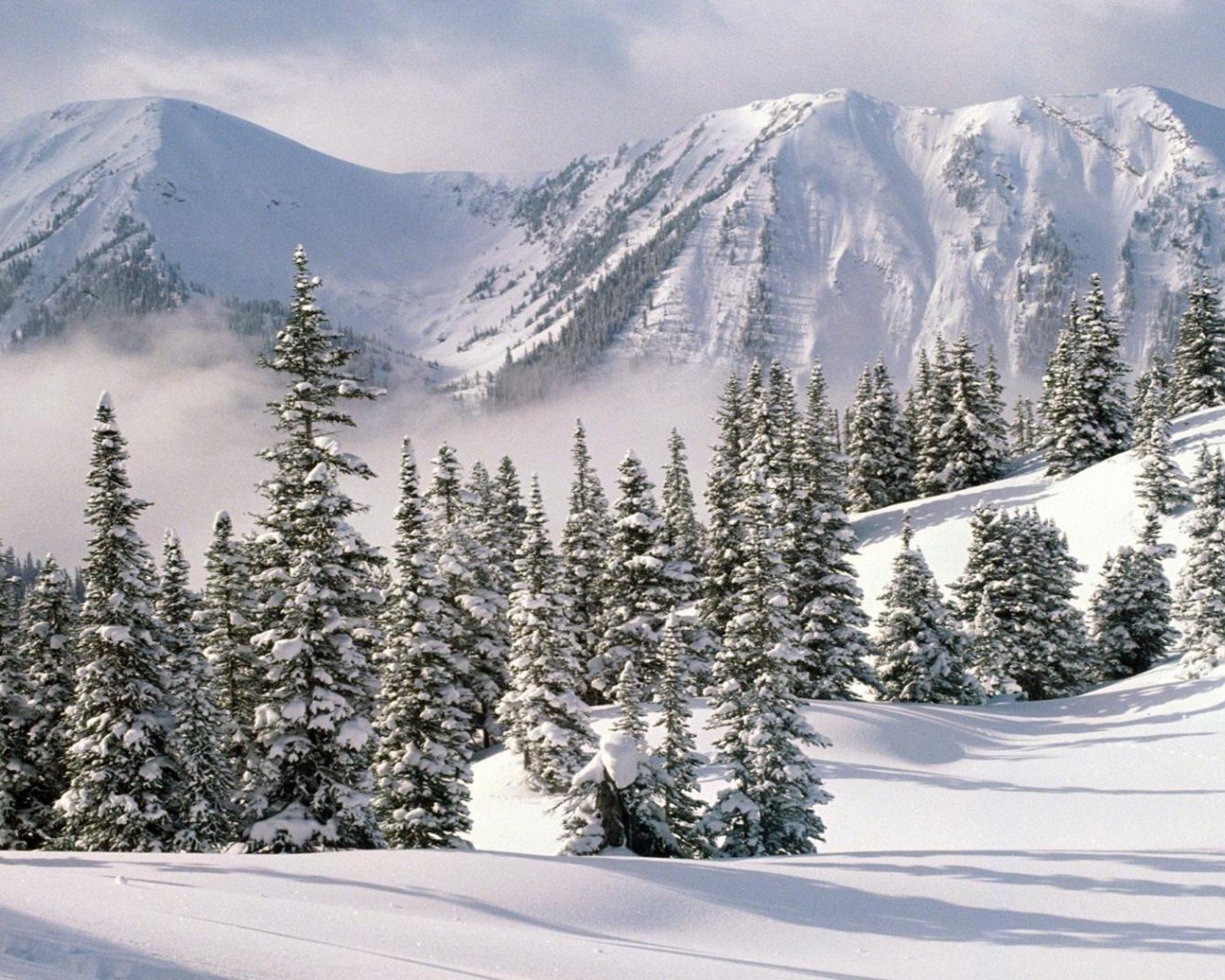 Winter Wallpapers Desktop - HD Wallpaper 