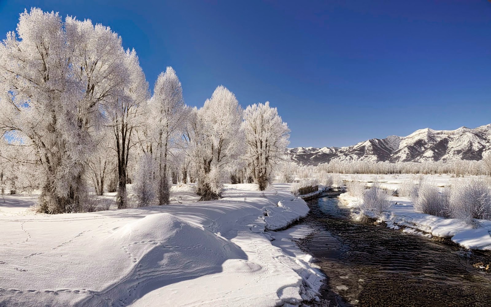 Nature Winter Wallpapers Free Download Pc - Beautiful Nature In Winter - HD Wallpaper 