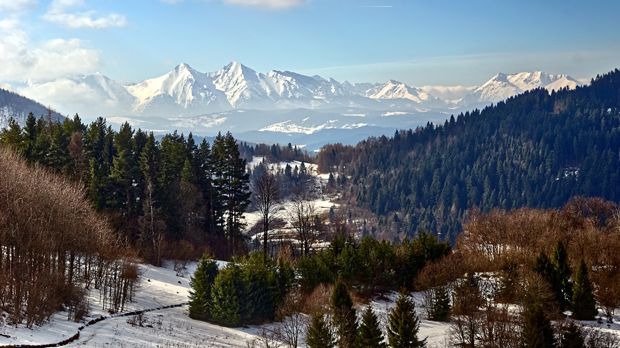 Winter Landscape - HD Wallpaper 