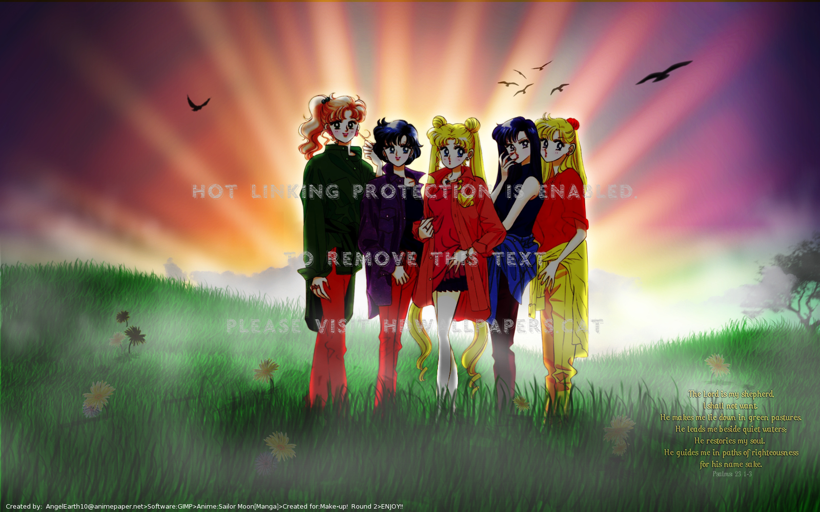 Sailor Moon Makoto Manga Ami Minako Rei - Illustration - HD Wallpaper 
