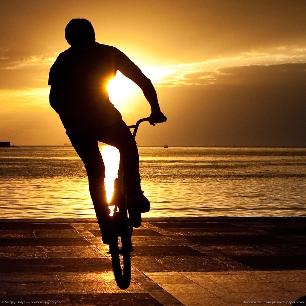 Bmx Freestyle Wallpaper Hd - Bmx Freestyle - HD Wallpaper 