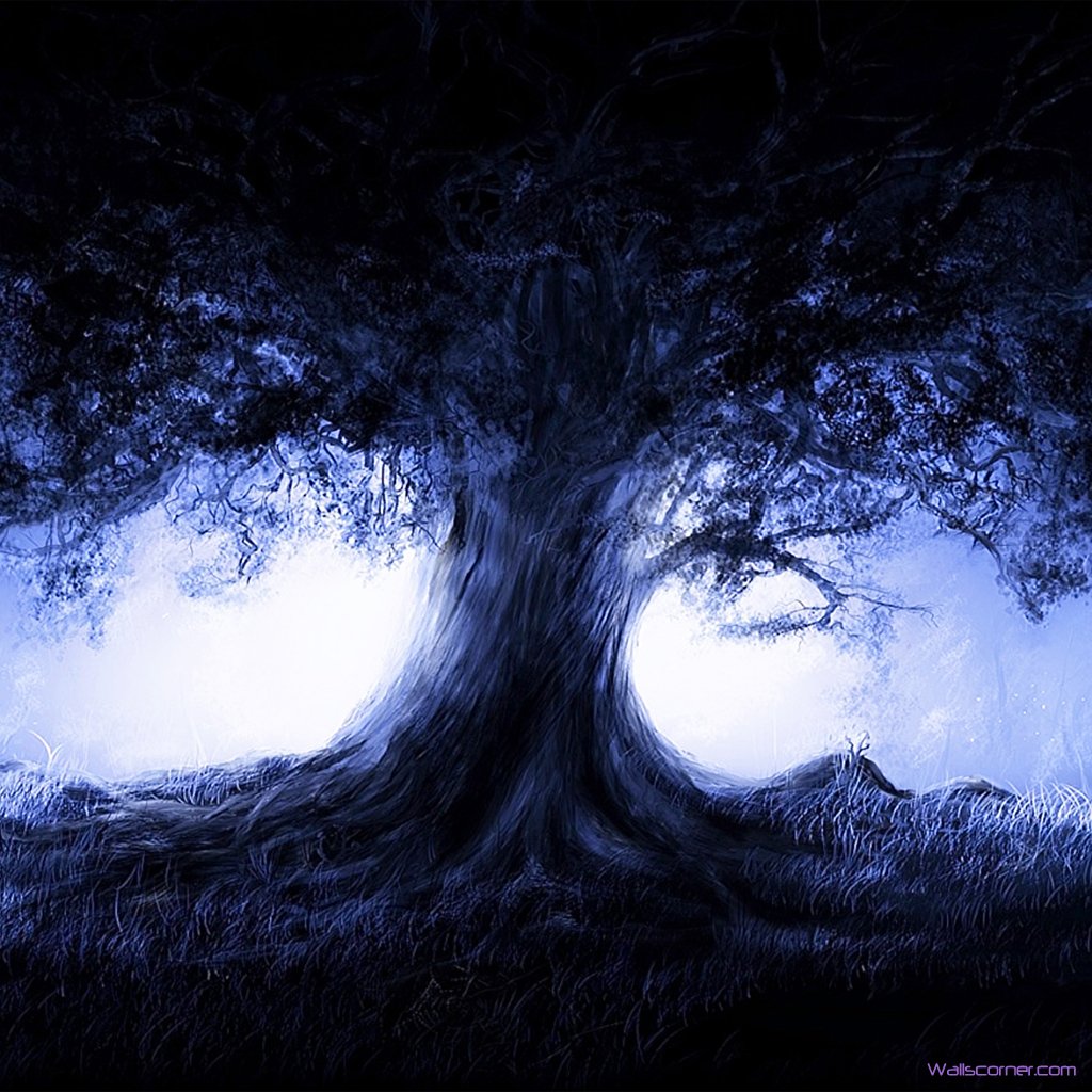 Old Dark Shadow Tree Ipad Wallpaper 1024 X - Fantastyczne Tapety Na Pulpit - HD Wallpaper 