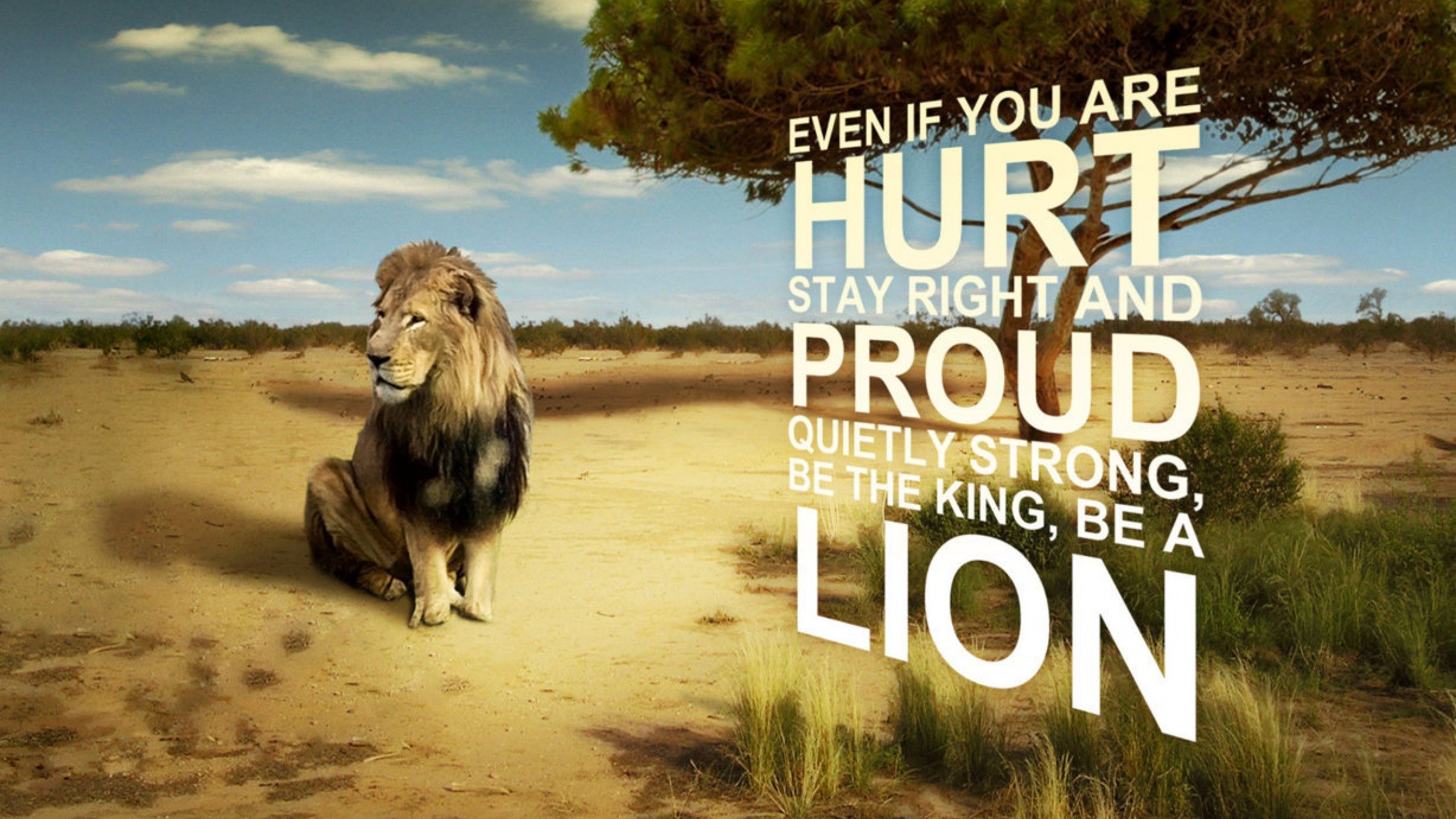 Hd Wallpapers Lion 1080p With Quote - HD Wallpaper 